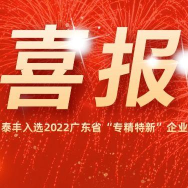 熱烈祝賀泰豐空調(diào)入選2022廣東省“專(zhuān)精特新”企業(yè)！